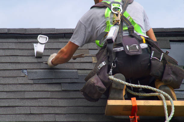 Best Storm Damage Roof Repair  in Tladega, AL