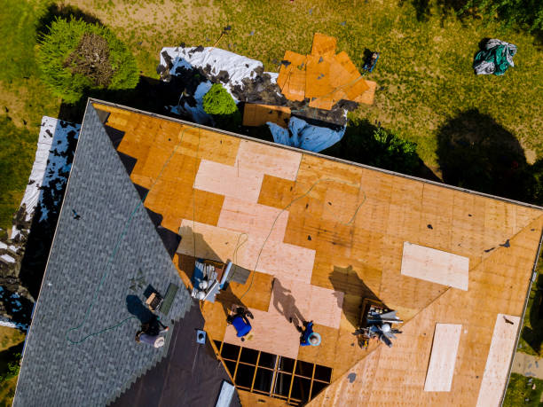 Best Roof Gutter Cleaning  in Tladega, AL