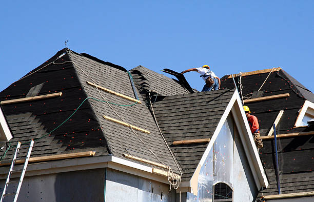 Best Roof Gutter Cleaning  in Tladega, AL