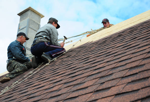 Best Emergency Roof Repair  in Tladega, AL